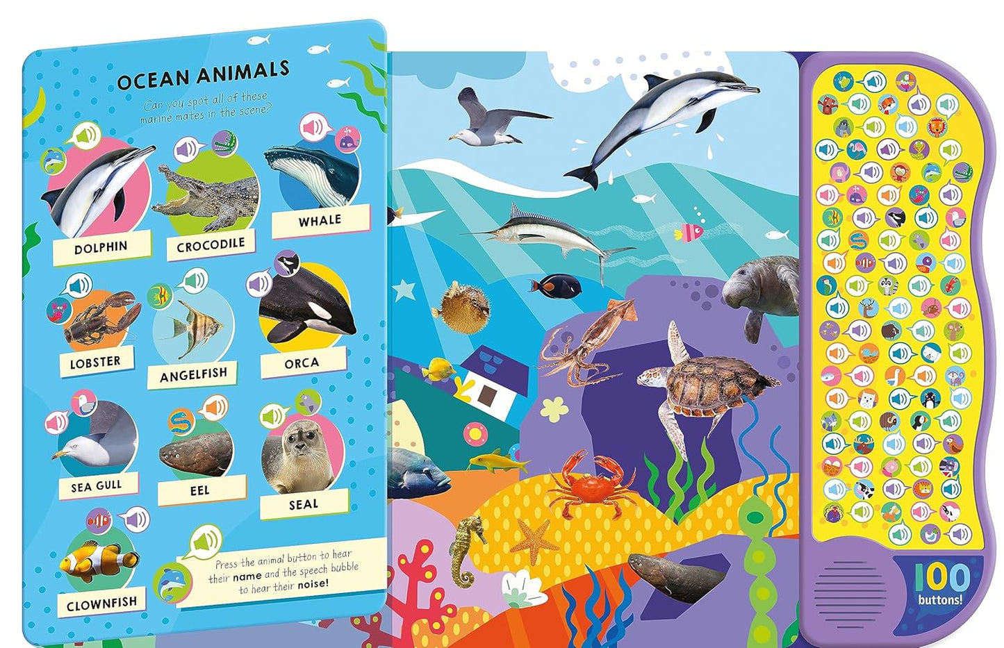 North Parade 100 Button Look and Find Animal Words and Sounds Interactive Sound Book for Kids