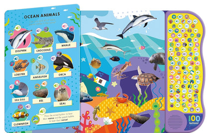 North Parade 100 Button Look and Find Animal Words and Sounds Interactive Sound Book for Kids