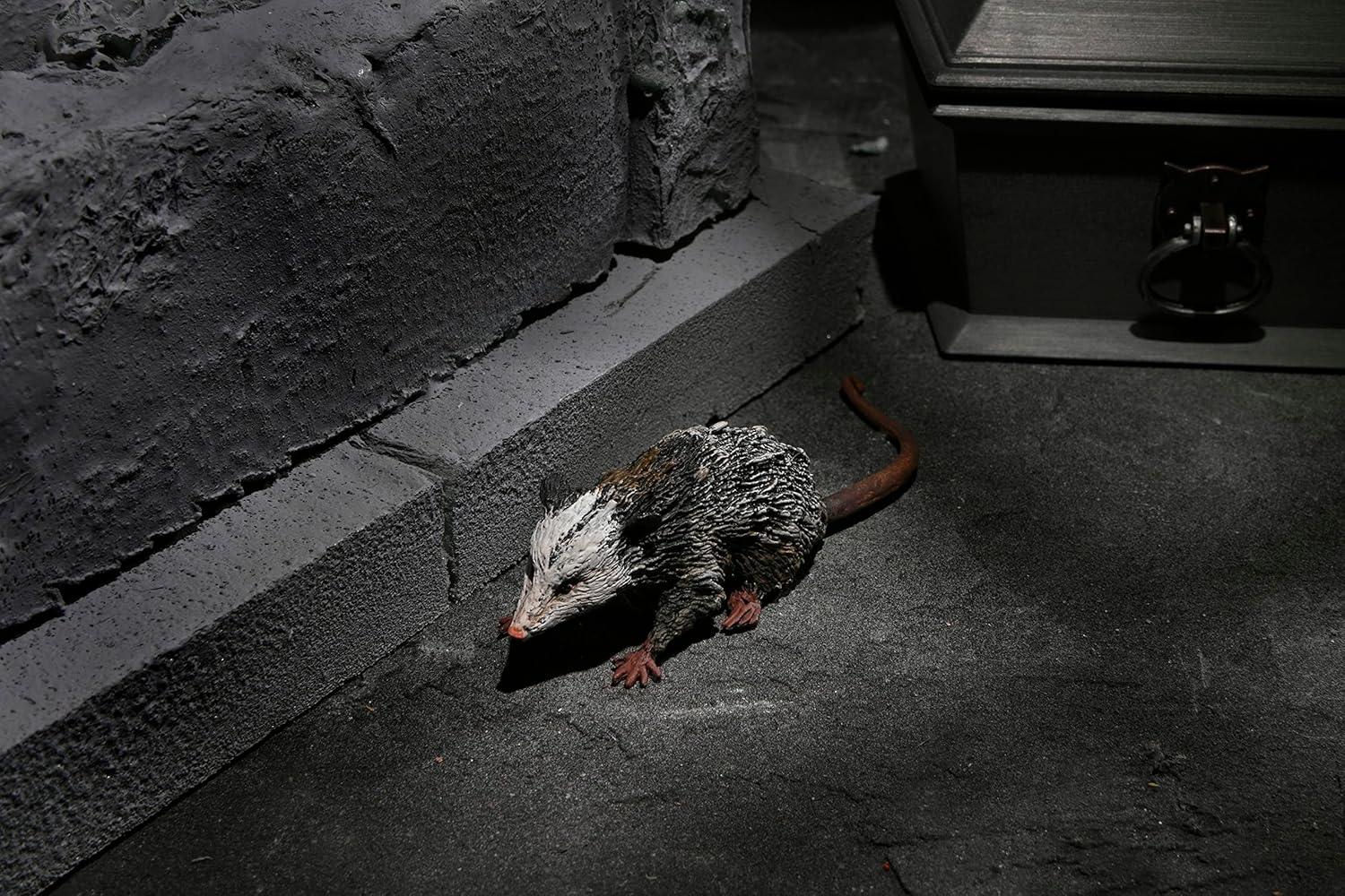 NECA Universal Monsters Dracula Action Figure Accessory Set – Collectible Add-Ons - Jaiman Toys