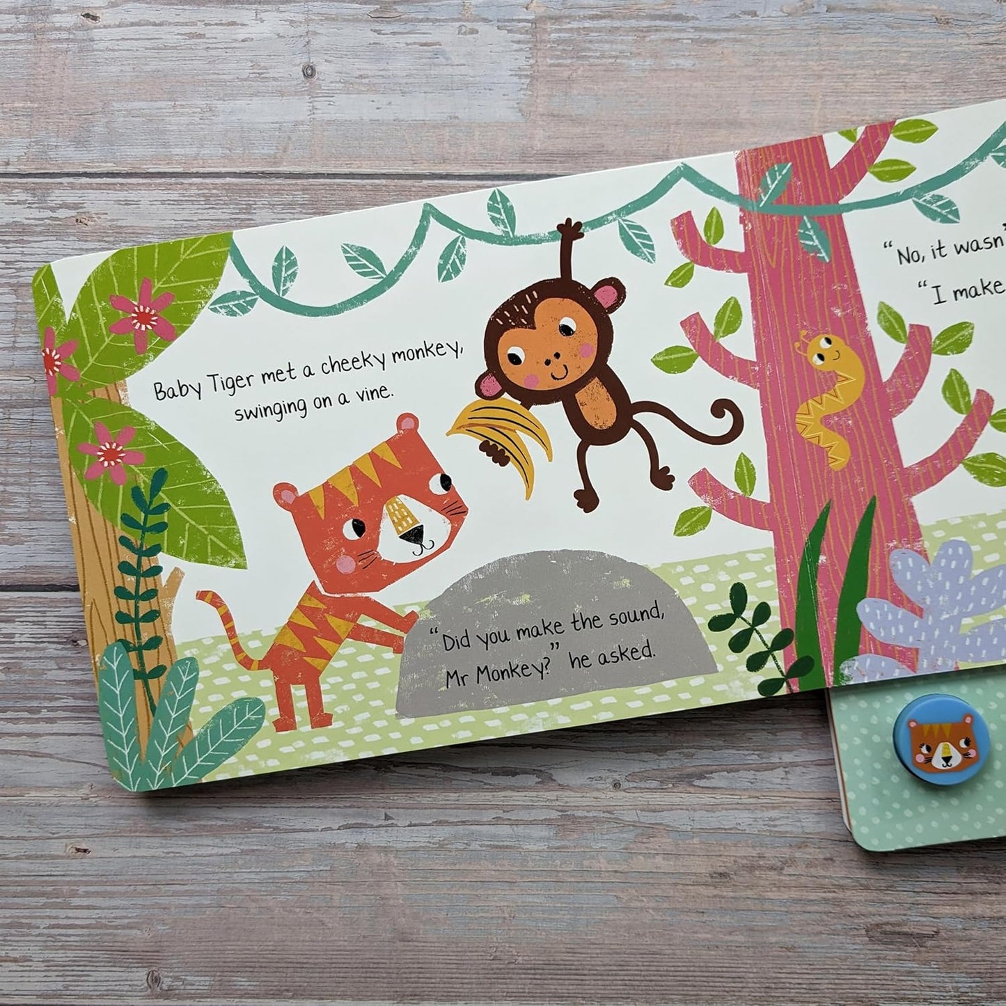 North Parade What Did Tiger Hear? Press & Play Animal Sound Book with 5 Squishy Sound Buttons