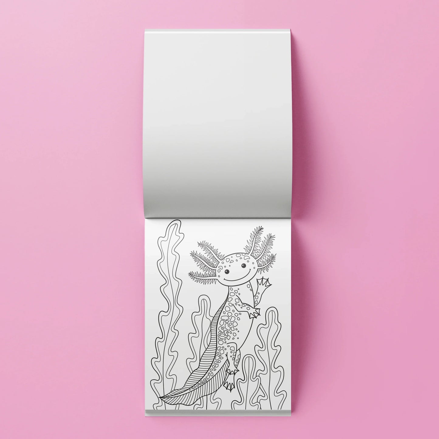 Kaleidoscope Colouring Kit: Axolotls - Jaiman Toys