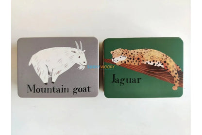 Animal Worlds: A Memory Matching Game for Kids & Families - Jaiman Toys