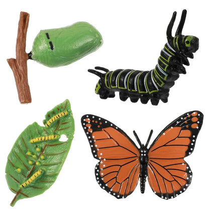 Butterfly Life Cycle Educational Toy Set – Caterpillar, Chrysalis & Butterfly Realistic Learning Model for Kids