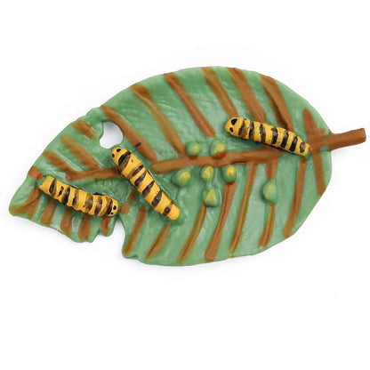 Butterfly Life Cycle Educational Toy Set – Caterpillar, Chrysalis & Butterfly Realistic Learning Model for Kids