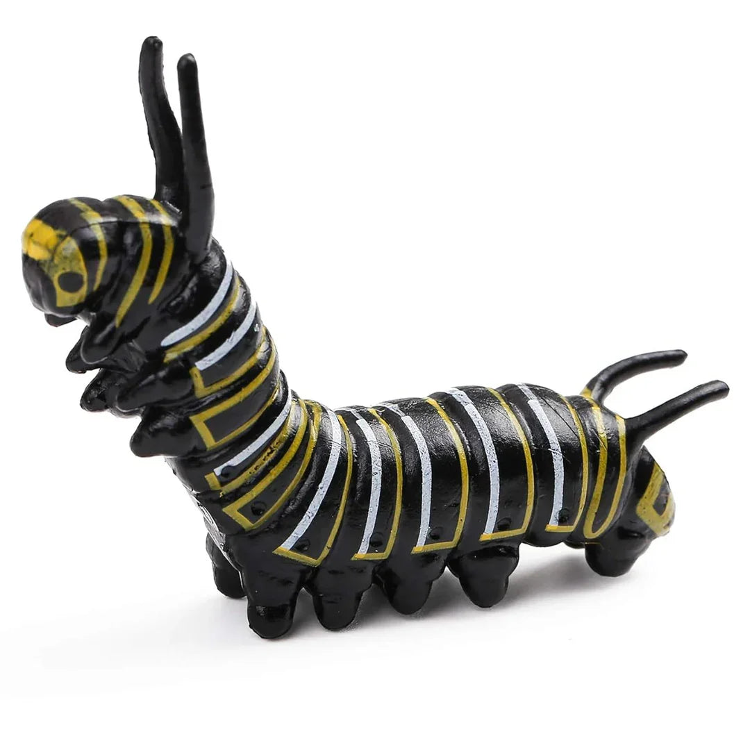 Butterfly Life Cycle Educational Toy Set – Caterpillar, Chrysalis & Butterfly Realistic Learning Model for Kids