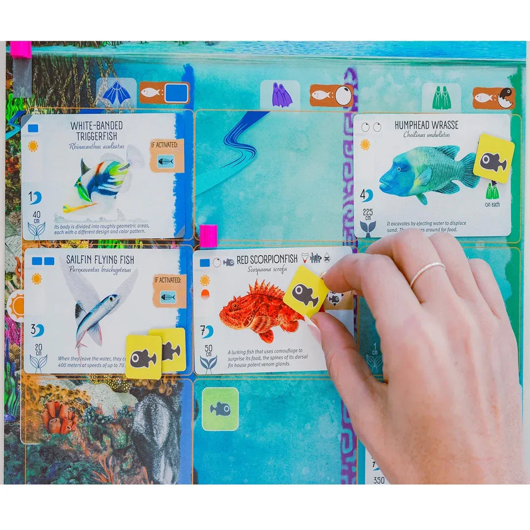 Finspan – A Wingspan Game | Strategy Board Game for Bird Lovers & Enthusiasts - Jaiman Toys