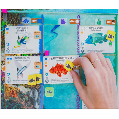 Finspan – A Wingspan Game | Strategy Board Game for Bird Lovers & Enthusiasts - Jaiman Toys