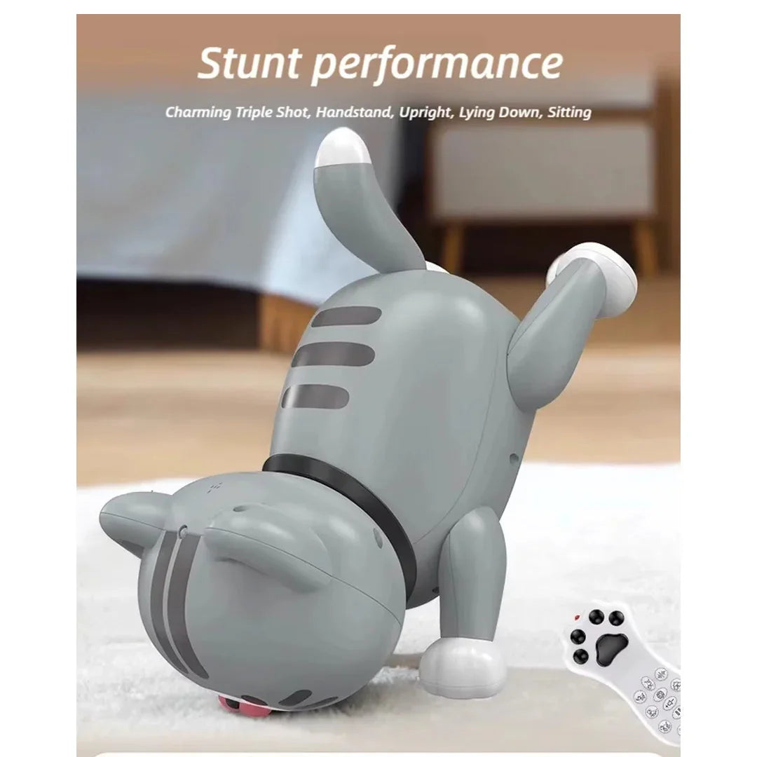 Early Education RC Puffy Cat Toy – Interactive Electric Dudu Cat for Kids - Jaiman Toys