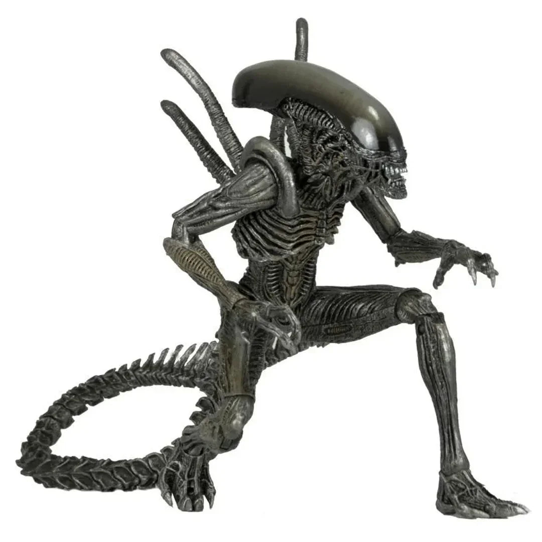NECA Aliens Warrior AVP Black 7