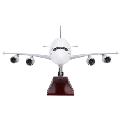 Thai Airways Airbus A380 1:160 Scale Diecast Aeroplane Display Model with LED Light | Premium Aircraft Replica with Display Stand