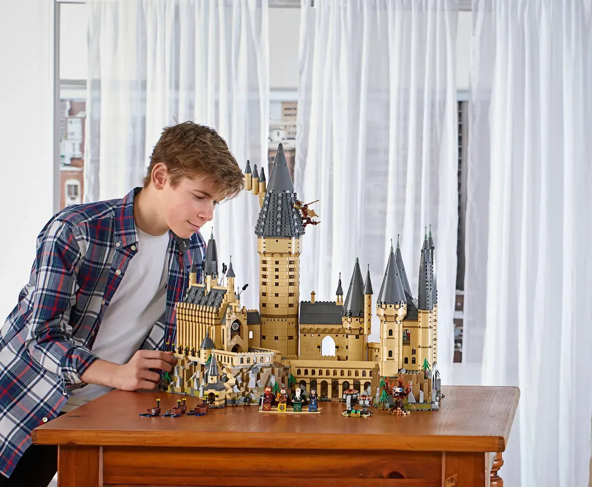 Lego 71043 Harry Potter Hogwarts Castle Building Set (6020 Piece)