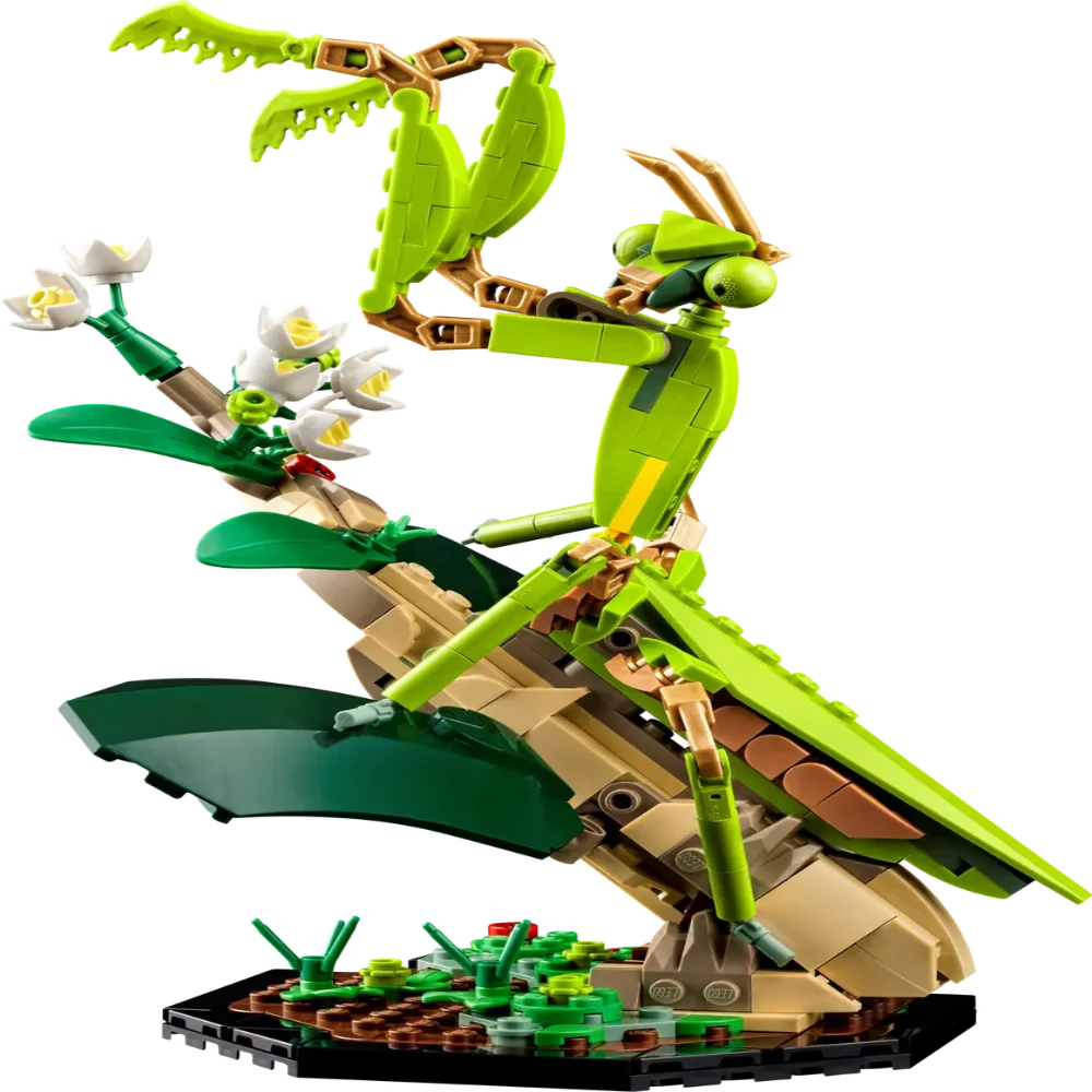 LEGO 21342 Ideas The Insect Collection - Jaiman Toys