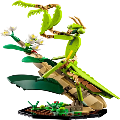 LEGO 21342 Ideas The Insect Collection - Jaiman Toys