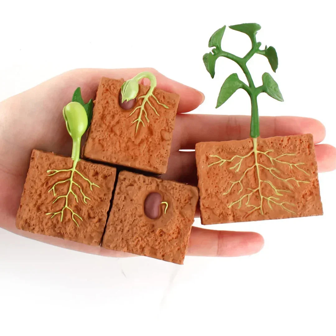 How To Grow A DIY Indoor Herb Garden | Platt Hill Nursery | Blog & Advice