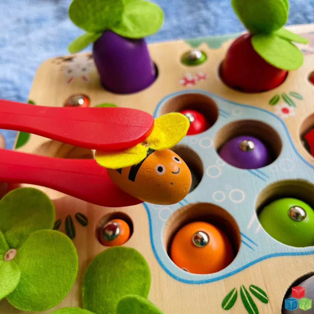 Open Ended 3 In 1 Magnetic Fishing Game - Jaiman Toys