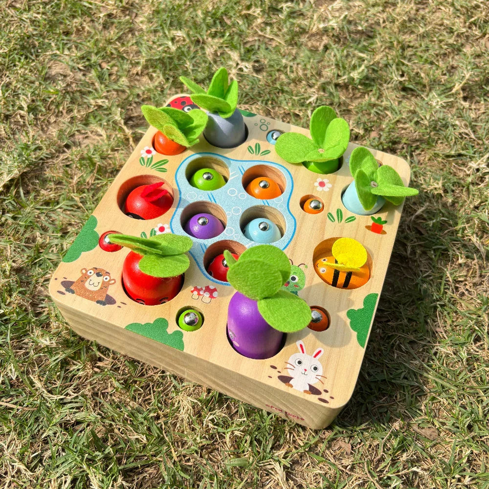 Open Ended 3 In 1 Magnetic Fishing Game - Jaiman Toys