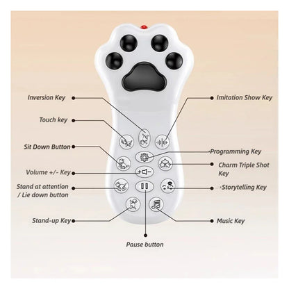 Early Education RC Puffy Cat Toy – Interactive Electric Dudu Cat for Kids - Jaiman Toys