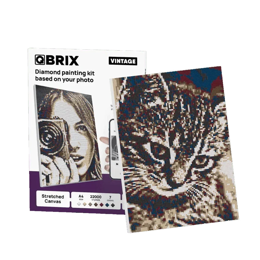 QBRIX A4 Vintage Personalised Diamond Painting Mosaic Art , 22000 Crystals| DIY Custom Craft Kit