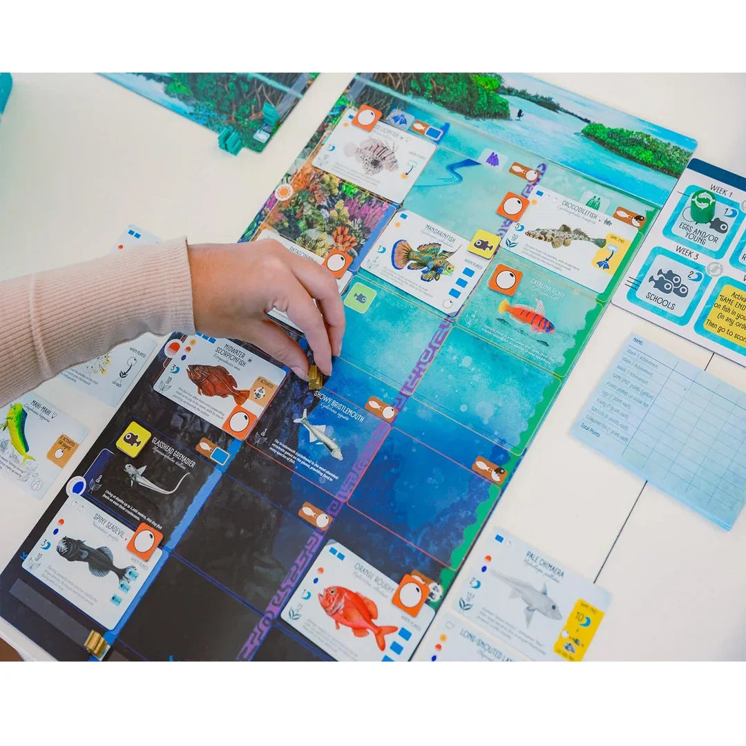 Finspan – A Wingspan Game | Strategy Board Game for Bird Lovers & Enthusiasts - Jaiman Toys