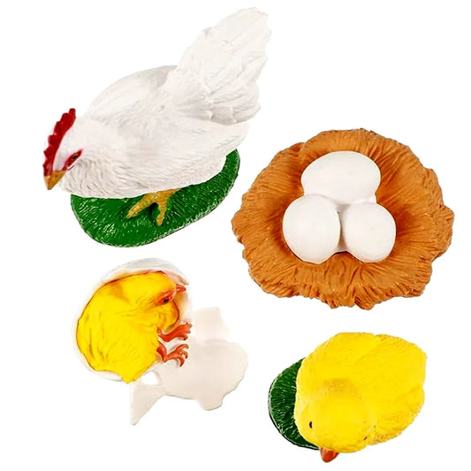 Chicken Life Cycle Educational Toy Set – Hen, Eggs & Chick Hatching Model for Kids Learning