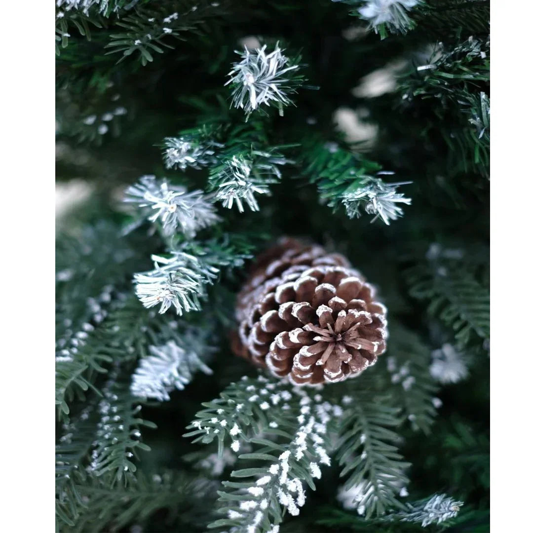 SWEN Balsam 4-Feet Christmas Tree with Light Frosting & Large Pine Cones | Premium Snow-Kissed Holiday Décor