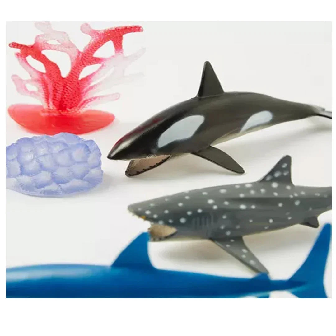 Ocean Animal Toy Jar – 15+ Marine Creatures with Accessories, Educational Sea Animal Figures for Kids, Pretend Play & Learning - Jaiman Toys
