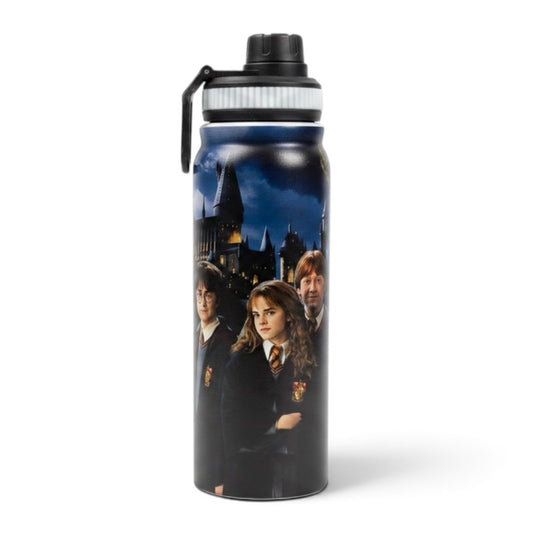 Harry Potter 800ml Stainless Steel Water Bottle with Drinking Spout, Carry Handle & Removable Steel Filter for School & Travel