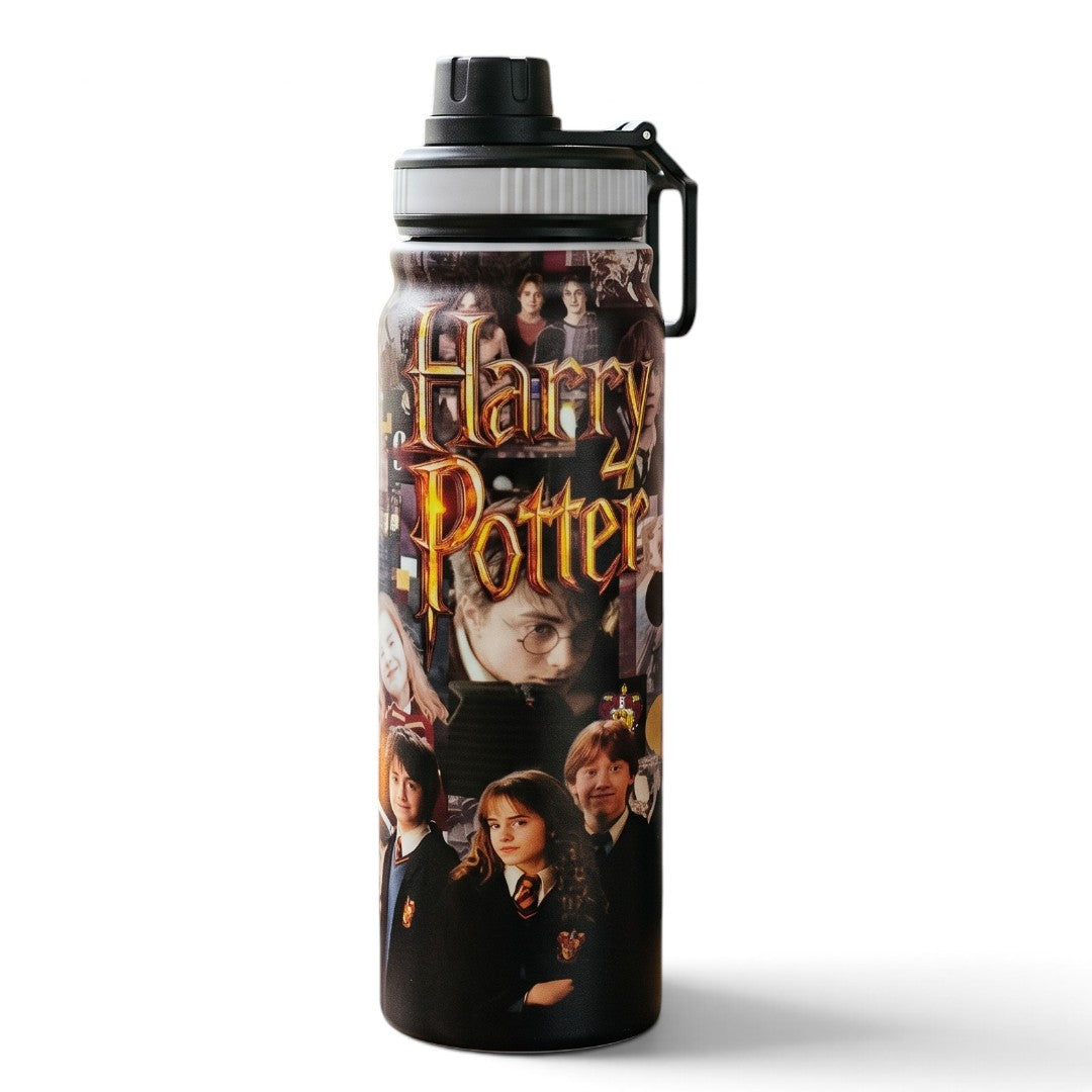 Harry Potter 800ml Stainless Steel Water Bottle with Drinking Spout, Carry Handle & Removable Steel Filter for School, Travel & Everyday Use