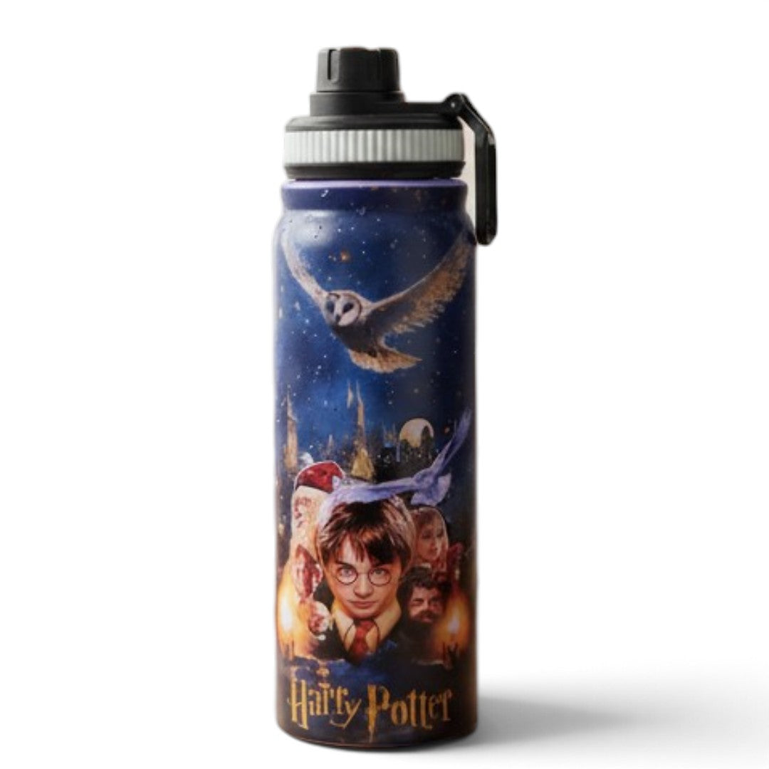Harry Potter 800ml Stainless Steel Water Bottle with Drinking Spout, Carry Handle & Removable Lid – Hedwig Night Design