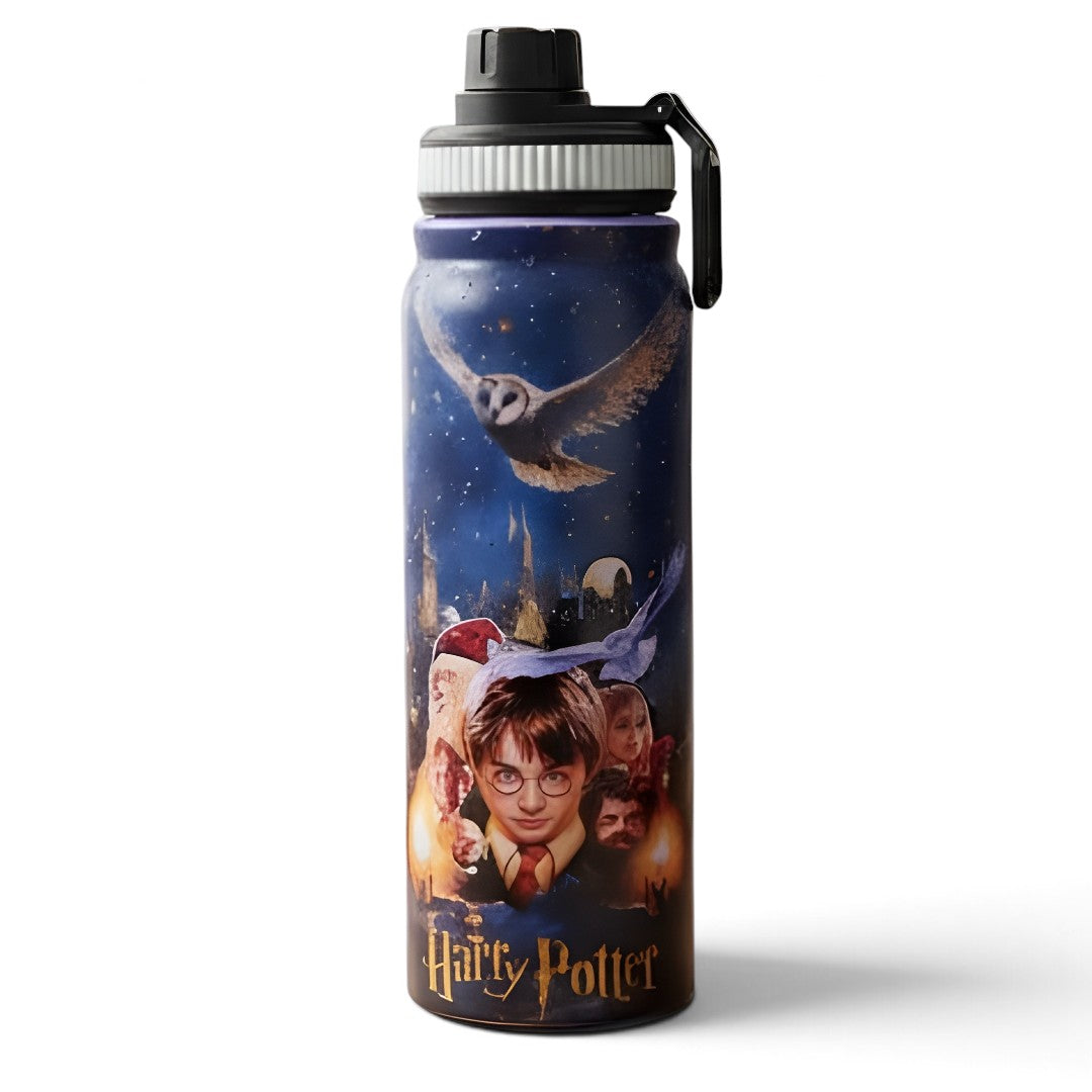 Harry Potter 800ml Stainless Steel Water Bottle with Drinking Spout, Carry Handle & Removable Lid – Hedwig Night Design