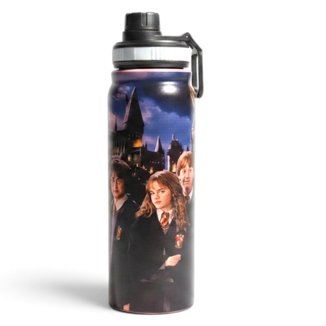 Harry Potter Hogwarts Trio Pink 800ml Stainless Steel Water Bottle with Drinking Spout, Carry Handle & Removable Lid