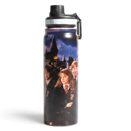 Harry Potter Hogwarts Trio Pink 800ml Stainless Steel Water Bottle with Drinking Spout, Carry Handle & Removable Lid