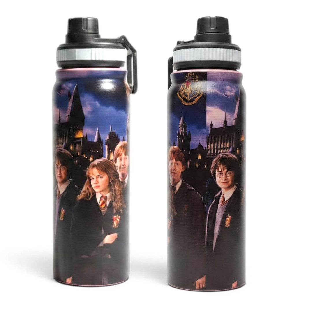 Harry Potter Hogwarts Trio Pink 800ml Stainless Steel Water Bottle with Drinking Spout, Carry Handle & Removable Lid