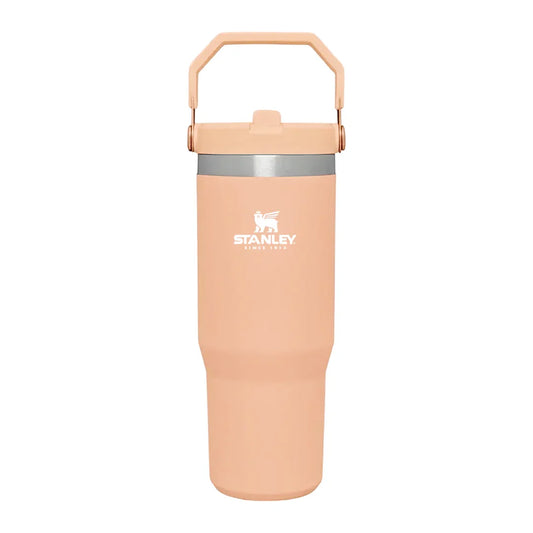 Stanley IceFlow™ Flip Straw Tumbler | 887ml with Straw for Water (30 oz) - Jaiman Toys