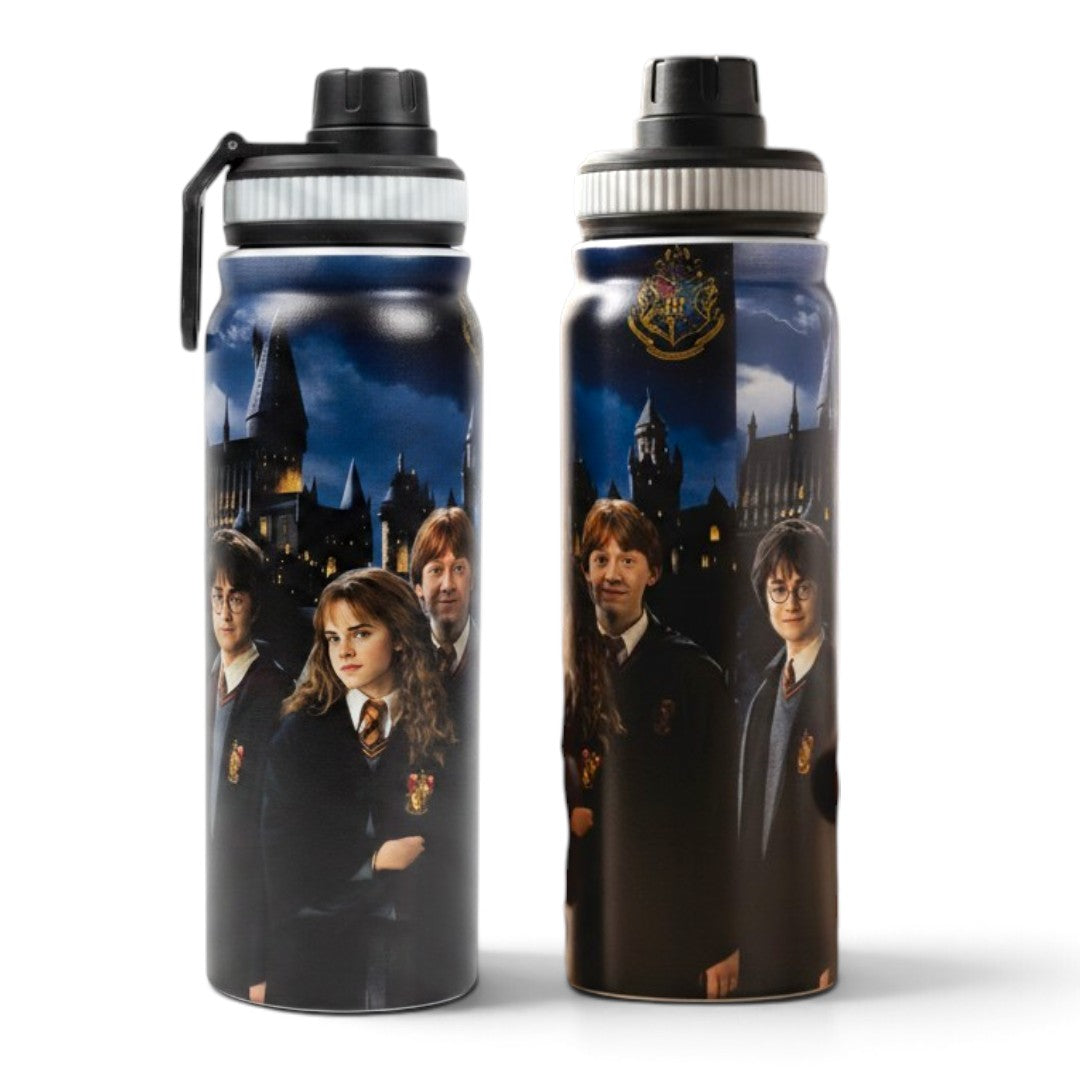 Harry Potter 800ml Stainless Steel Water Bottle with Drinking Spout, Carry Handle & Removable Steel Filter for School & Travel