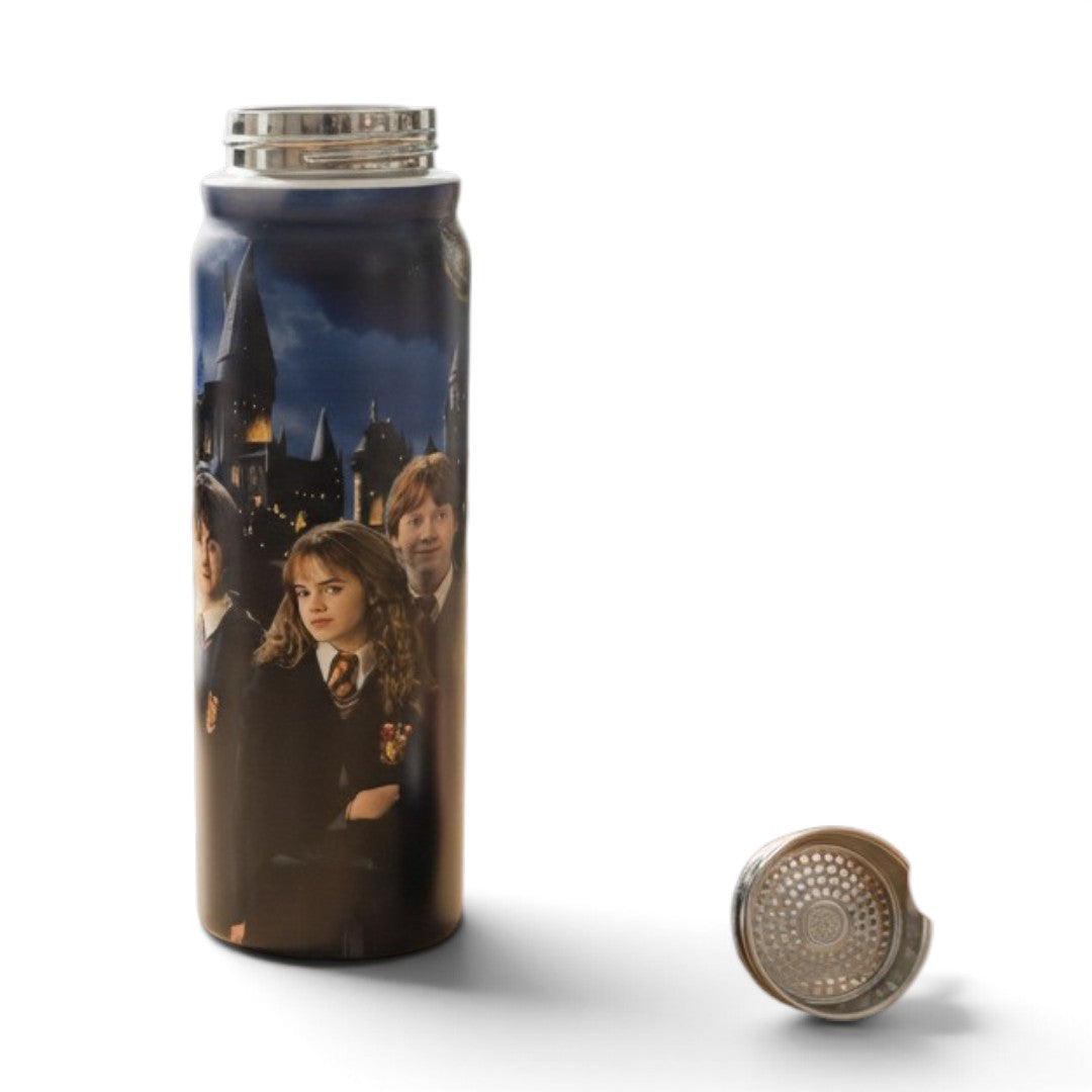 Harry Potter 800ml Stainless Steel Water Bottle with Drinking Spout, Carry Handle & Removable Steel Filter for School & Travel