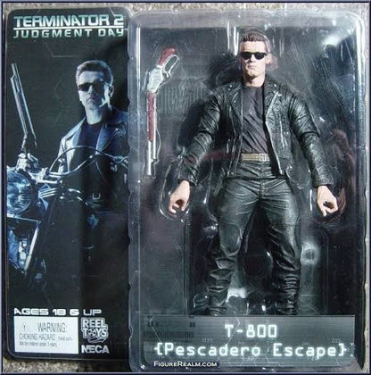 Terminator T-800 Pescadero Escape - Arnold Schwarzenegger Action Figure