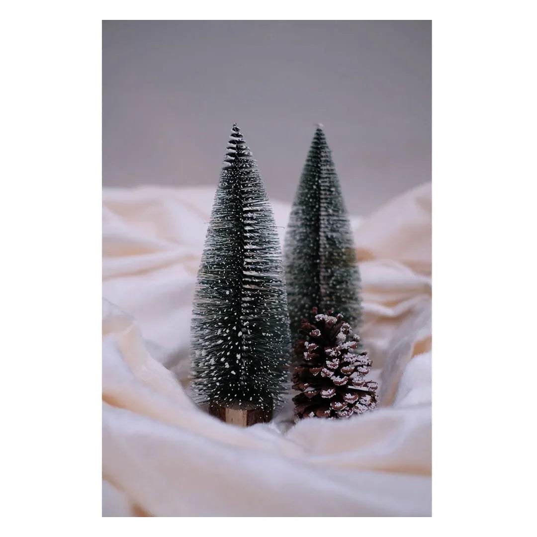 SWEN Jane Tabletop Christmas Tree – Pack | Frosted Mini Trees with Wooden Base for Home & Office Décor