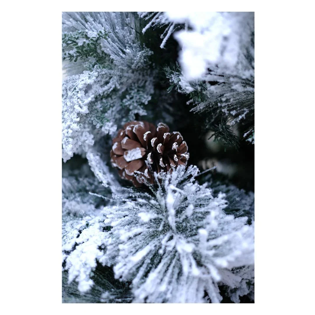 SWEN True Star 8-Feet Christmas Tree with Broad Pine Leaves, Frosting & Pine Cones | Premium Snow-Kissed Festive Tree