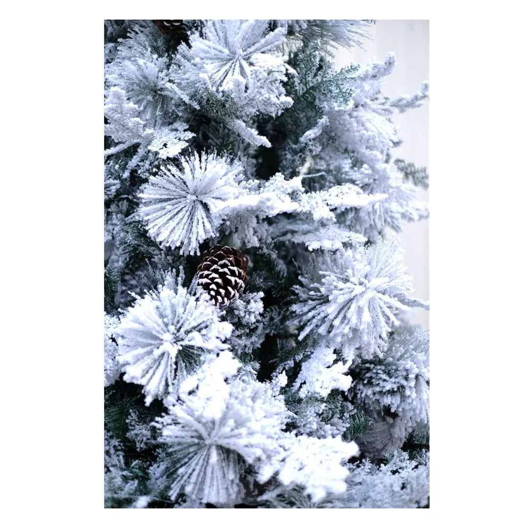 SWEN True Star 8-Feet Christmas Tree with Broad Pine Leaves, Frosting & Pine Cones | Premium Snow-Kissed Festive Tree