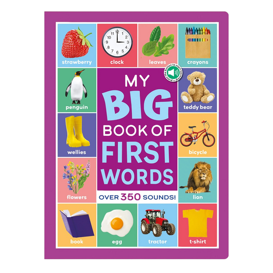 North Parade My Big Book of First Words Multi Sensor Sound Book for Kids | Interactive English Learning Board Book