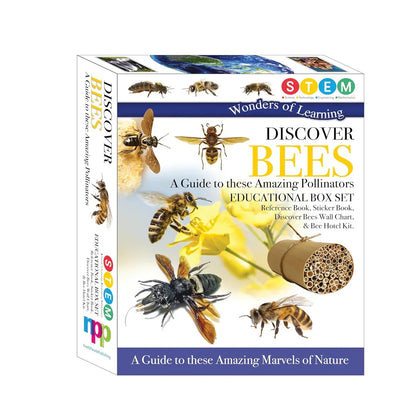 Wonders of Learning – Bees | Educational Paperback Book for Kids